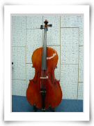 13500 cello 1.jpg